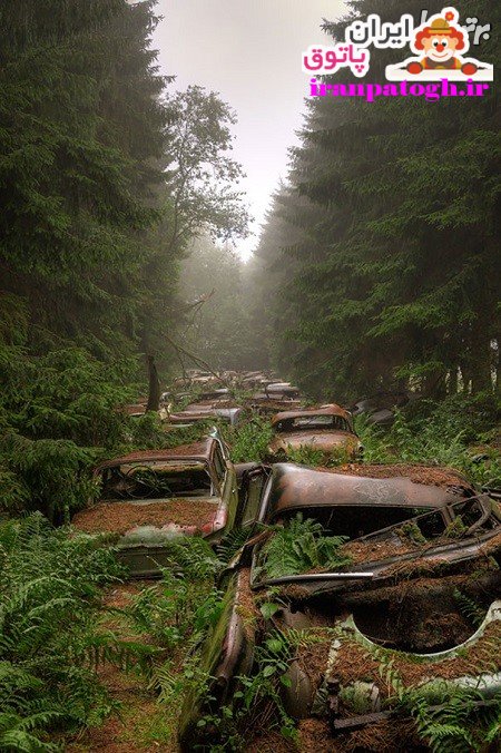 ترافیک 70 ساله در جنگل بلژیک!