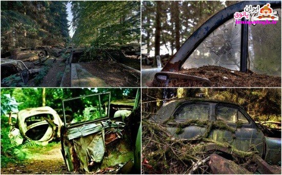ترافیک 70 ساله در جنگل بلژیک!