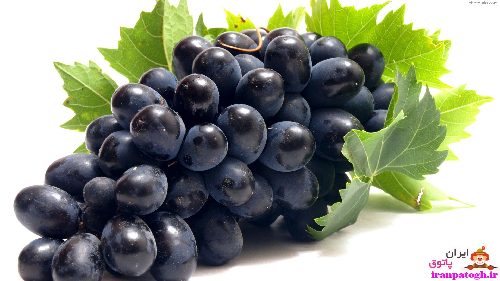 فواید انگور سیاه و تقویت عضلات و خون ساز بودن این میوه بهشتی