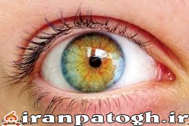 دوربینی و نزدیک بینی , نتایج آزمایشات چشم ,درمان دوربینی و نزدیک بینی , نتایج دانشمندان برای درمان چشم , درمان دوربینی و نزدیک بینی ب قطره نانو 