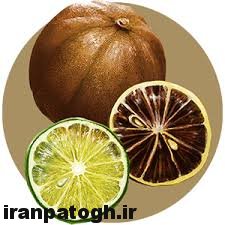 خواص لیمو عمانی,لیموعمانی در خورش های پرچرب,لیمو همراه با گوشت,فواید لیمو عمانی در خورش های پرچرب,خاصیت لیمو عمانی لیمو عمانی و کاهش چربی,لیمو عمانی و لاغری