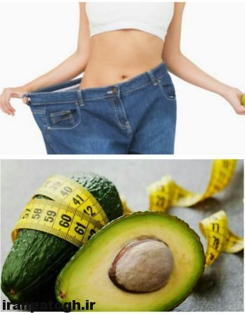 خواص آووکادو برای لاغری, گیاهی عالی برای کاهش وزن,آووکادو و لاغری ,گیاه آووکادو و کاهش وزن,آووکادو و سلامتی, گیاه پر از خاصیت آووکادو,آووکادو و کم کردن وزن