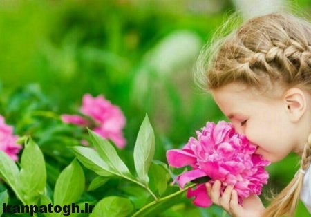 بوهای شگفت انگیز, بوی گیاهان و گل ها چه تاثیری در روح جسم دارد,عطر گل ها و تاثیرش , مزایای بوییدن گل ها, استشمام گل های معطر در بهار,پوی گل و تقویت مغز