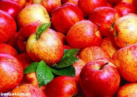اهمیت میوه سیب ,به این دلایل سیب را دوست داشته باشیم,خواص و فواید سیب ,سیب میوه ای مناسب فصل ,سیب و سلامت جسمی ,خواص شفت انگیز سیب