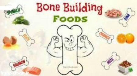 مواد خوراکی برای تقویت استخوان کودکان, مواد غذایی استخوان ساز ,خوردنی های مفید برای رشد کودکان , تقویت استخوانها,خوراکی هایی برای تقویت استخوان