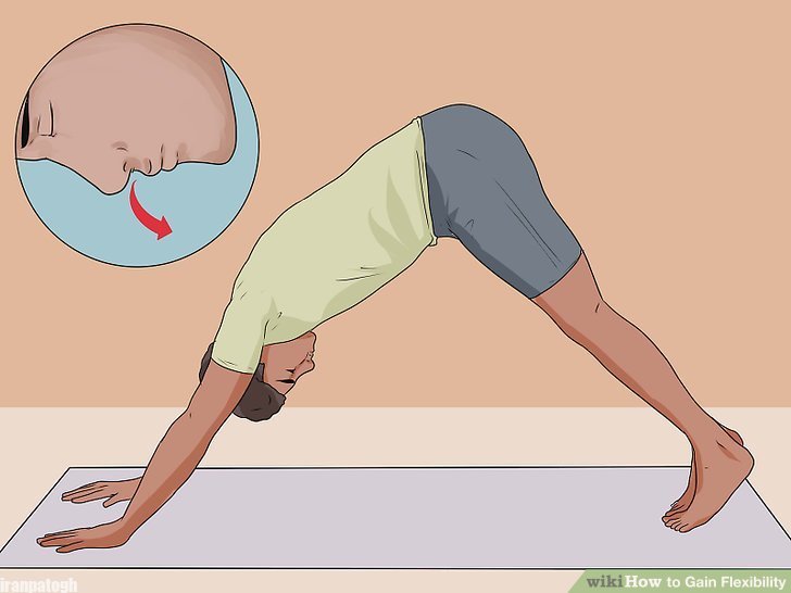 Description: Image titled Perform Downward Facing Dog in Yoga Step 8