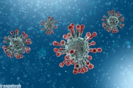پیشگیری از شیوع ویروس کرونا جدید اقدامات حفاظتی اساسی