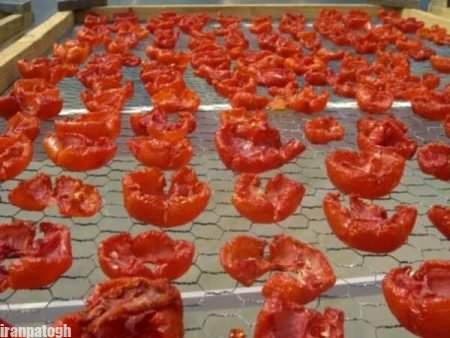 روش خشک کردن گوجه فرنگی